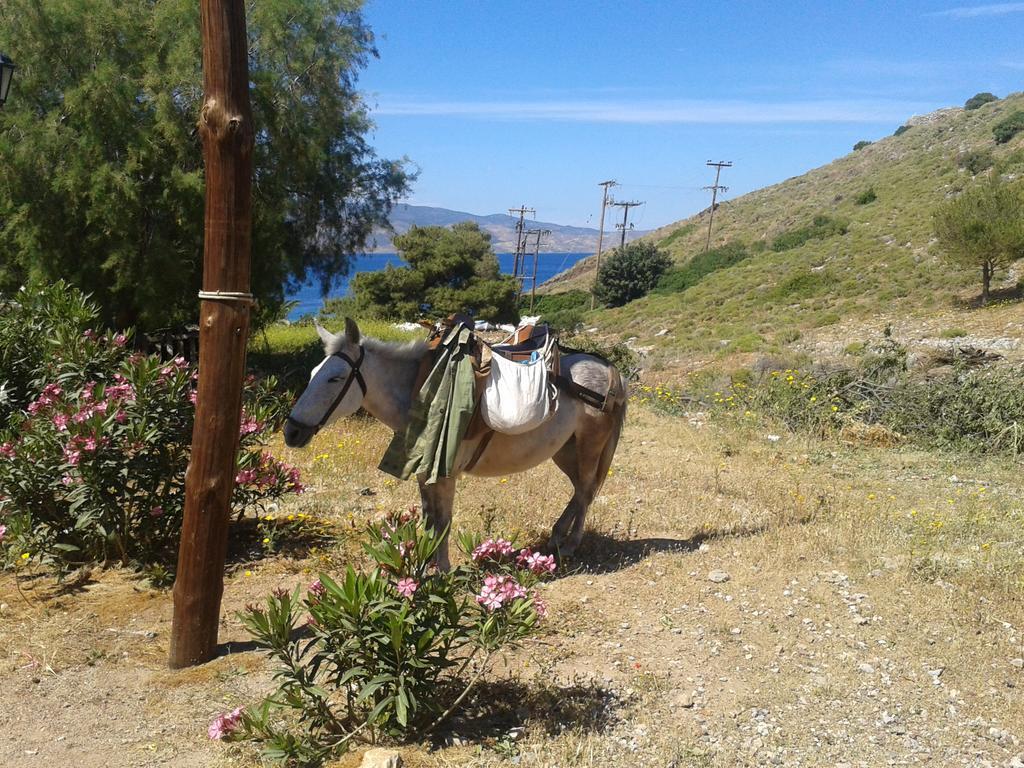 Villa Andreas Ύδρα Εξωτερικό φωτογραφία